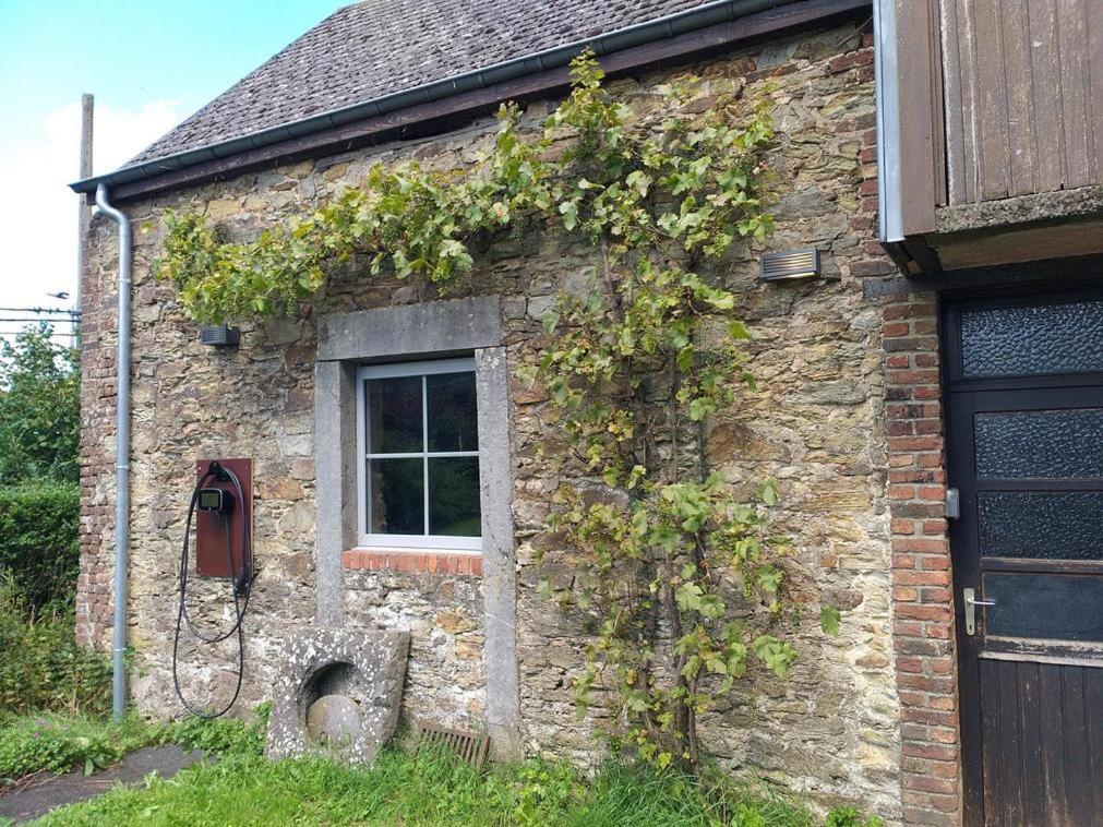 Maison Berton Gedinne Εξωτερικό φωτογραφία